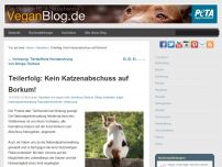 Bild zum Artikel: Teilerfolg: Kein Katzenabschuss auf Borkum!