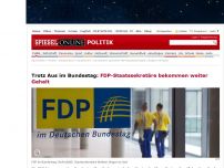 Bild zum Artikel: Trotz Aus im Bundestag: FDP-Staatssekretäre bekommen weiter Gehalt