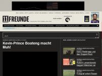 Bild zum Artikel: Kevin-Prince Boateng macht Muh!