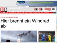 Bild zum Artikel: Feuer bei Magdeburg - Hier brennt ein Windrad komplett ab