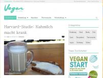 Bild zum Artikel: Harvard-Studie: Kuhmilch macht krank