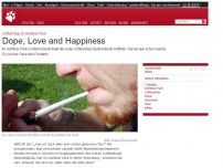 Bild zum Artikel: Coffeeshop im Görlitzer Park: Dope, Love and Happiness