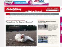 Bild zum Artikel: Trotz Verbot: Gänse bei lebendigem Leib gerupft?: Tierquälerei für Daunen-Decken?