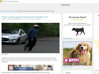 Bild zum Artikel: Phantom von Rath schlägt auf der Straße grundlos Hundehalter nieder