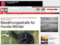 Bild zum Artikel: Dobermann „Sheila“ - Bewährungsstrafe für Hunde-Mörder