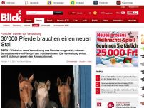 Bild zum Artikel: Forscher warnen vor Verordnung: 30'000 Pferde brauchen einen neuen Stall