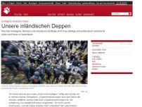 Bild zum Artikel: Schlagloch Deutsche Polizei: Unsere inländischen Deppen
