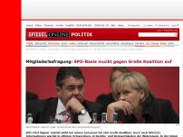 Bild zum Artikel: Mitgliederbefragung: SPD-Basis muckt gegen Große Koalition auf