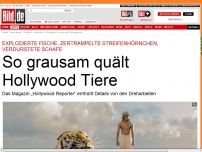 Bild zum Artikel: Tiger fast ertrunken - So grausam quält Hollywood Tiere