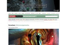 Bild zum Artikel: Psychisches Wohlbefinden: Wie der Bauch die Stimmung beeinflusst