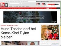 Bild zum Artikel: Endlich amtlich! - Hund Tascha darf bei Koma-Kind Dylan bleiben