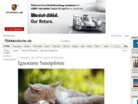 Bild zum Artikel: Katzen als Haustiere: Ignorante Samtpfoten