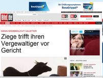 Bild zum Artikel: Mann missbraucht Haustier - Ziege trifft ihren Vergewaltiger vor Gericht