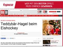 Bild zum Artikel: 26 000 in einem Spiel - Teddybär-Hagel beim Eishockey