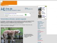 Bild zum Artikel: Tierheim bittet um Hinweise: Labrador ausgesetzt