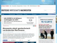 Bild zum Artikel: Monsanto plant gentechnisch verändertes Marihuana