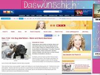 Bild zum Artikel: Von Zug überrollt: Mann&Hund überleben