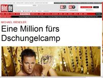 Bild zum Artikel: Michael Wendler - Eine Million fürs Dschungelcamp