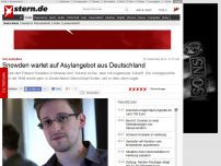 Bild zum Artikel: NSA-Spähaffäre: Snowden wartet auf Asylangebot aus Deutschland