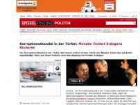 Bild zum Artikel: Korruptionsskandal in der Türkei: Drei Minister treten zurück