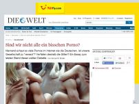 Bild zum Artikel: Gesellschaft: Sind wir nicht alle ein bisschen Porno?