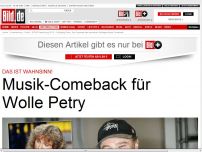 Bild zum Artikel: *** BILDplus Inhalt *** Das ist Wahnsinn! - Musik-Comeback für Wolle Petry