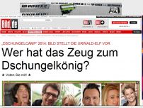 Bild zum Artikel: Die Urwald-Start-Elf steht - Wer hat das Zeug zum Dschungelkönig?