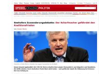 Bild zum Artikel: Seehofers Zuwanderungsdebatte: Der Scharfmacher gefährdet den Koalitionsfrieden