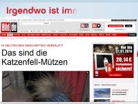 Bild zum Artikel: Bei uns im Handel! - Das sind die Katzenfell-Mützen