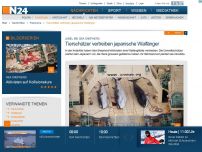 Bild zum Artikel: Jubel bei Sea Shepherd - 
Tierschützer vertreiben japanische Walfänger