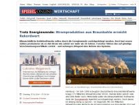 Bild zum Artikel: Trotz Energiewende: Stromproduktion aus Braunkohle erreicht Rekordwert