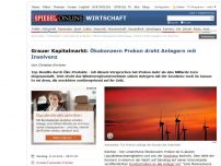 Bild zum Artikel: Umstrittener Ökokonzern: Prokon droht Anlegern mit Insolvenz