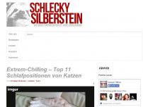 Bild zum Artikel: Extrem-Chilling – Top 11 Schlafpositionen von Katzen