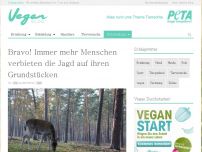 Bild zum Artikel: Bravo! Immer mehr Menschen verbieten die Jagd auf ihren Grundstücken