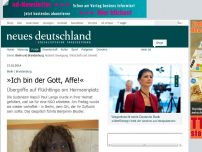 Bild zum Artikel: »Ich bin der Gott, Affe!«