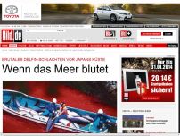 Bild zum Artikel: Das Meer blutet - Japan schlachtet wieder Delfine ab