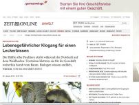 Bild zum Artikel: Dreifingerfaultiere: 
			  Lebensgefährlicher Klogang für einen Leckerbissen