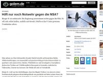 Bild zum Artikel: Spionage: Hilft nur noch Notwehr gegen die NSA?