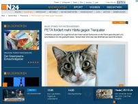 Bild zum Artikel: Milde Strafe für Katzen-Mörder - 
PETA fordert mehr Härte gegen Tierquäler