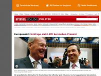 Bild zum Artikel: Europawahl: Umfrage sieht AfD bei sieben Prozent