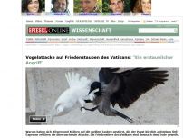 Bild zum Artikel: Vogelattacke auf Friedenstauben des Vatikans: 'Ein erstaunlicher Angriff'