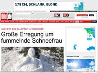 Bild zum Artikel: Nächste Sex-Skulptur - Große Erregung um Fummel-Schneefrau