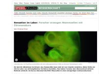 Bild zum Artikel: Sensation im Labor: Forscher erzeugen Stammzellen mit Zitronensäure