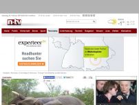 Bild zum Artikel: Großtierjagd in Botswana: Thüringer Umweltbeamter schießt Elefanten