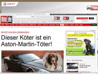 Bild zum Artikel: Dieser Köter ist ein  Aston-Martin-Töter!