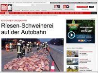 Bild zum Artikel: Riesen-Schweinerei auf der Autobahn