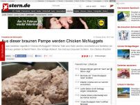 Bild zum Artikel: Produktion bei McDonald's: Aus dieser braunen Pampe werden Chicken McNuggets