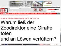 Bild zum Artikel: Zoo-Skandal - Inzest-Giraffe an Löwen verfüttert