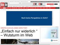 Bild zum Artikel: „Widerlich“, „empörend“ - Weltweite Empörung über Giraffen-Tötung