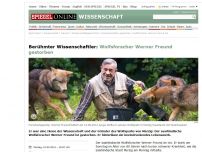 Bild zum Artikel: Berühmter Wissenschaftler: Wolfsforscher Werner Freund gestorben